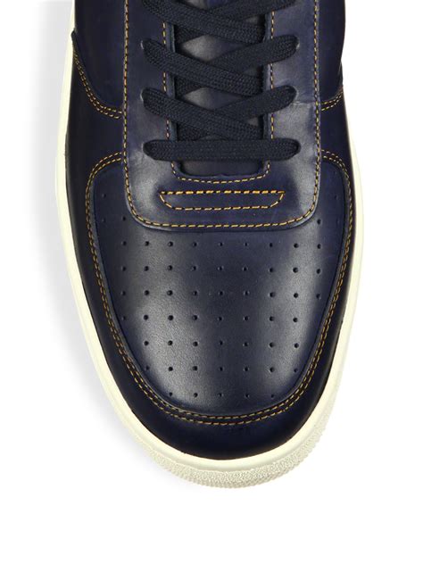 navy blue coach shoes